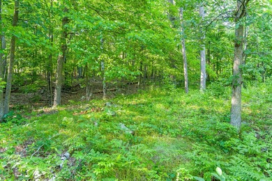 Imagine waking up to the sound of loons, surrounded by towering - photo 19