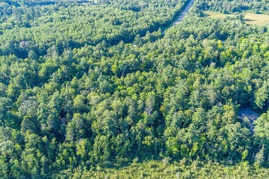 Imagine waking up to the sound of loons, surrounded by towering - photo 20