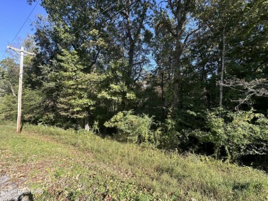 Watts Bar Lake Lot For Sale in Rockwood Tennessee