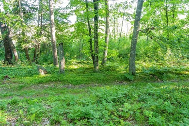 Imagine waking up to the sound of loons, surrounded by towering - photo 22