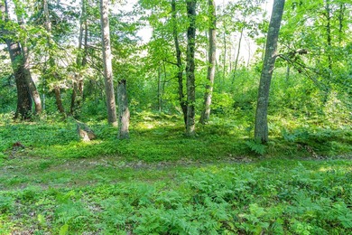 Imagine waking up to the sound of loons, surrounded by towering - photo 23