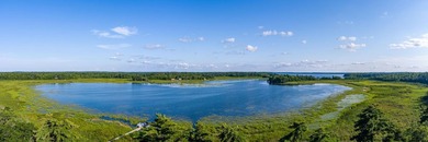 Imagine waking up to the sound of loons, surrounded by towering - photo 28