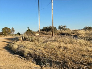 Lake Canyon Dr - photo 12