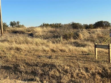 Lake Canyon Dr - photo 13