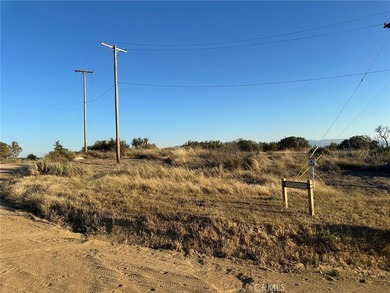Lake Canyon Dr - photo 17