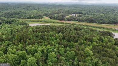 || LAKE LANIER LIFESTYLE || 2-STORY PRIVATE DOCK || OVER 2 ACRES - photo 25