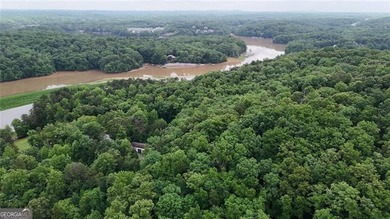 || LAKE LANIER LIFESTYLE || 2-STORY PRIVATE DOCK || OVER 2 ACRES - photo 26