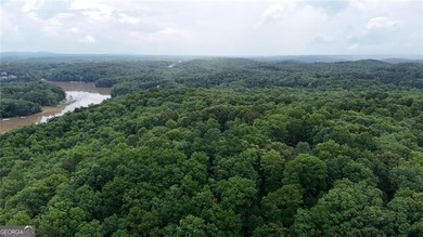 || LAKE LANIER LIFESTYLE || 2-STORY PRIVATE DOCK || OVER 2 ACRES - photo 27