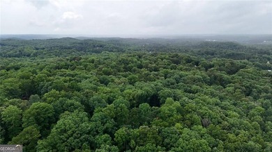 || LAKE LANIER LIFESTYLE || 2-STORY PRIVATE DOCK || OVER 2 ACRES - photo 28