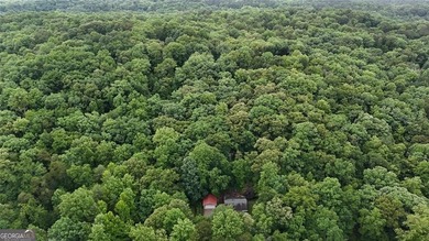 || LAKE LANIER LIFESTYLE || 2-STORY PRIVATE DOCK || OVER 2 ACRES - photo 30