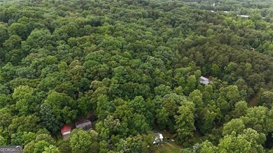 || LAKE LANIER LIFESTYLE || 2-STORY PRIVATE DOCK || OVER 2 ACRES - photo 31