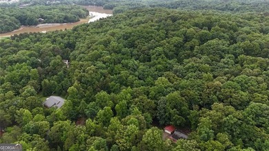 || LAKE LANIER LIFESTYLE || 2-STORY PRIVATE DOCK || OVER 2 ACRES - photo 32