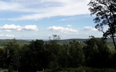 Spectacular 6.3-Acre Lot with Mountain Views! Discover the - photo 2