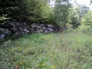 Spectacular 6.3-Acre Lot with Mountain Views! Discover the - photo 3