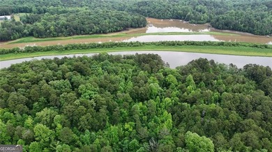 || LAKE LANIER LIFESTYLE || 2-STORY PRIVATE DOCK || OVER 2 ACRES - photo 34