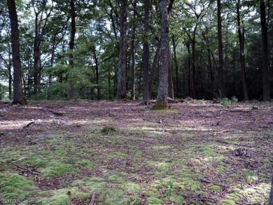 Spectacular 6.3-Acre Lot with Mountain Views! Discover the - photo 4