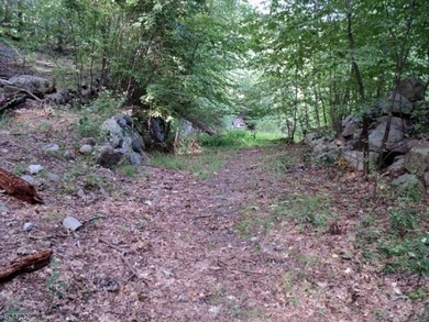 Spectacular 6.3-Acre Lot with Mountain Views! Discover the - photo 5