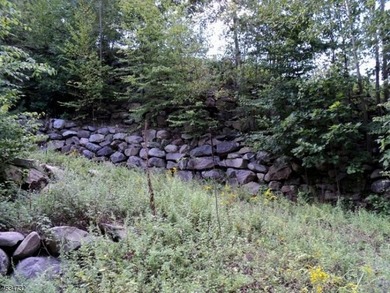 Spectacular 6.3-Acre Lot with Mountain Views! Discover the - photo 6