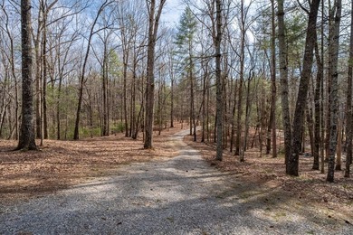 Enjoy amazing Chattahoochee River views from this beautiful - photo 41