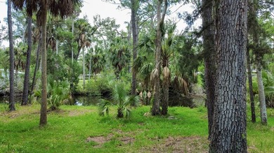 Welcome to your own slice of Old Florida paradise in the - photo 11
