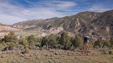 Located between Rifle and Meeker, this 1,273+/- deeded acre - photo 1