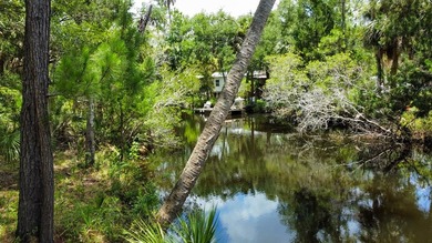 Welcome to your own slice of Old Florida paradise in the - photo 13