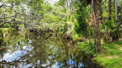Welcome to your own slice of Old Florida paradise in the - photo 14