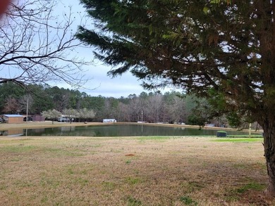 Great opportunity to own a business & live next to it. 3 bedroom - photo 42