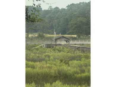 Charming 3-Bedroom Home in Rivergate - 55+ Community  Welcome to