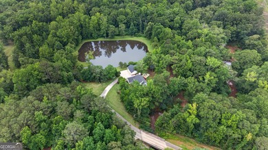 (private lake, pond, coastal) Home For Sale in Winston Georgia