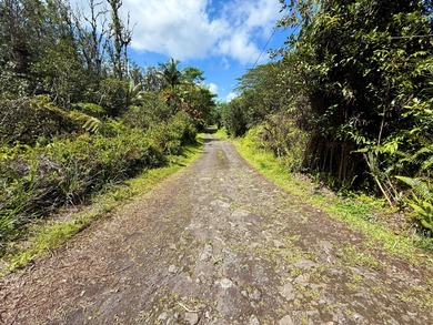 3 acres located in untouched Hawaiian Acres subdivision. Build - photo 11