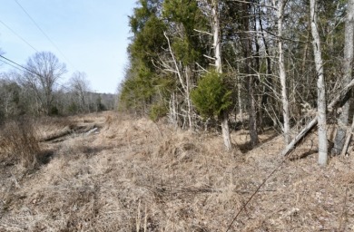 Welcome to 7.93 breathtaking acres in Poplar Ridge Subdivision - photo 11