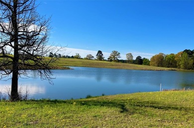 (private lake, pond, creek) Acreage For Sale in Big Sandy Texas
