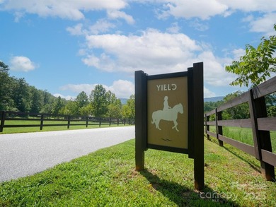 Beautiful building lot with big, bold mountain viewse build your - photo 14