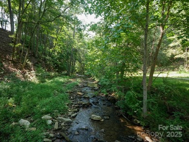 Beautiful building lot with big, bold mountain viewse build your - photo 15