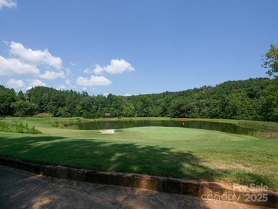Beautiful building lot with big, bold mountain viewse build your - photo 16