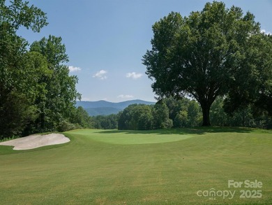Beautiful building lot with big, bold mountain viewse build your - photo 17