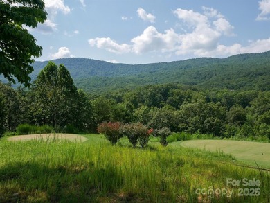 Beautiful building lot with big, bold mountain viewse build your - photo 18