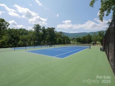 Beautiful building lot with big, bold mountain viewse build your - photo 20