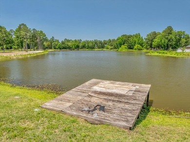 This home has the best of all worlds. This beautiful home - photo 58