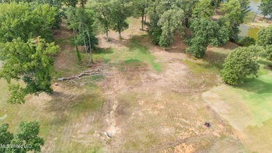 LAST LAKE LOT on Gray's Creek largest lake.~~~~~ Discover the - photo 12