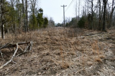 Welcome to 7.93 breathtaking acres in Poplar Ridge Subdivision - photo 10