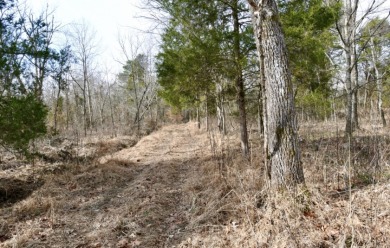 Welcome to 7.93 breathtaking acres in Poplar Ridge Subdivision - photo 9