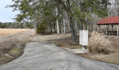 Welcome to 7.93 breathtaking acres in Poplar Ridge Subdivision - photo 3