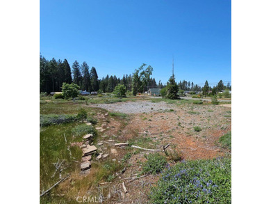 Magalia Lake  Lot For Sale in Magalia California