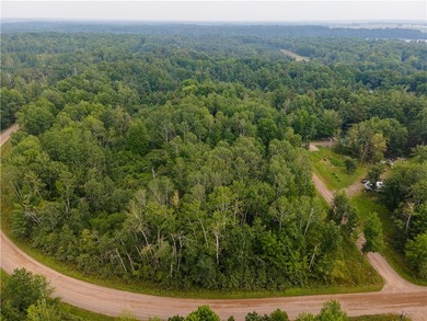 Dairyland Lake Acreage For Sale in Ladysmith Wisconsin
