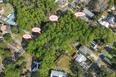 Four lots with no HOA located in the heart of Destin just steps - photo 4
