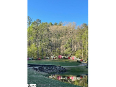 AMAZING MOUNTAINOUS CLOSE-IN LOCATION! 1-ACRE+- GOLF COURSE LOT! - photo 3