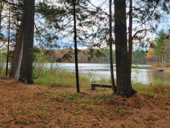 Manson Lake Lot For Sale in Tomahawk Wisconsin