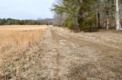 Welcome to 7.93 breathtaking acres in Poplar Ridge Subdivision - photo 7